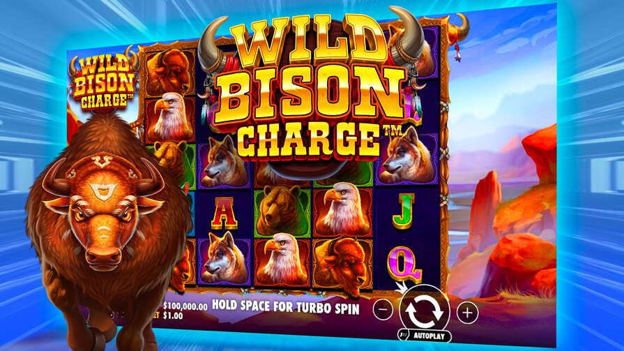 Wild Bison Charge