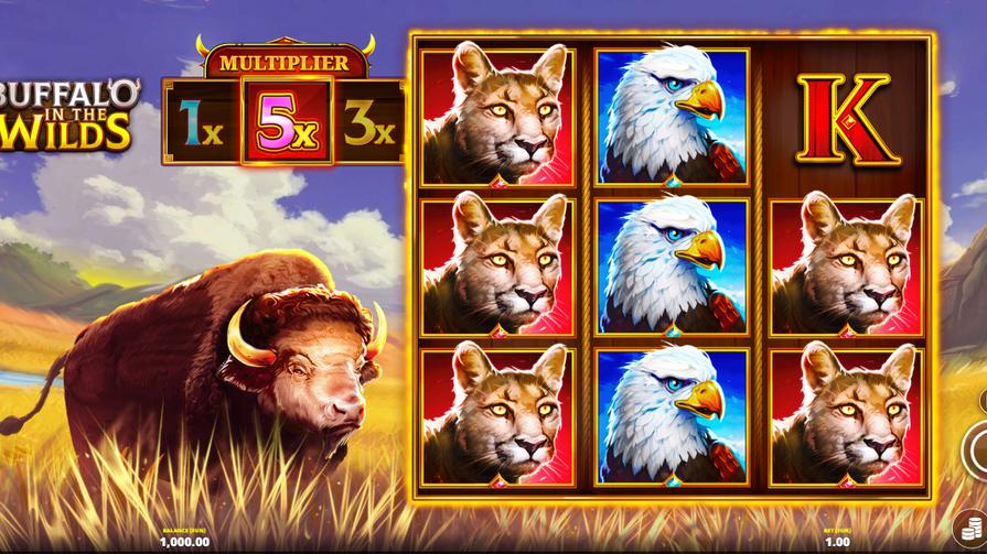Buffalo in the Wilds