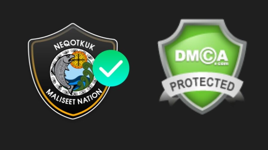 DMCA защита