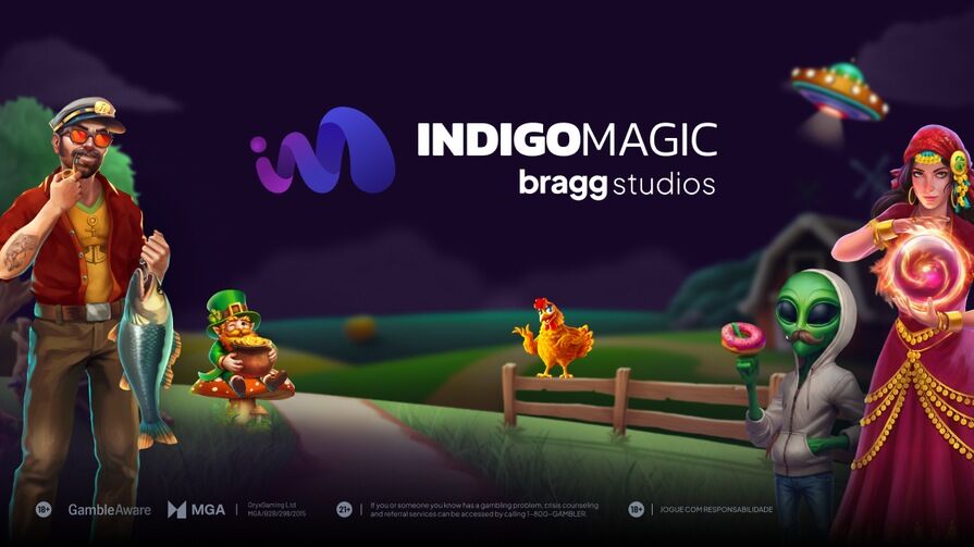 Провайдер Indigo Magic Bragg HUB RGS