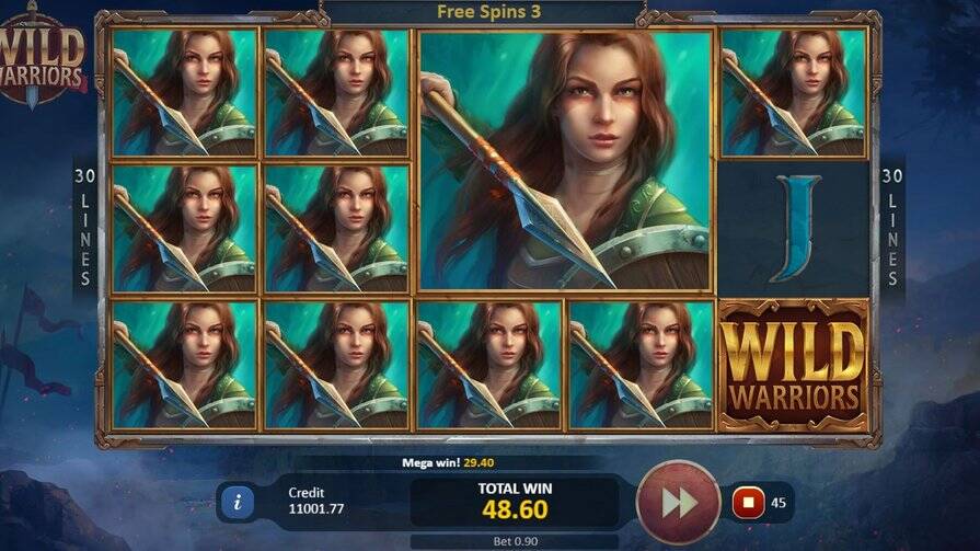 Игра Wild Warrior