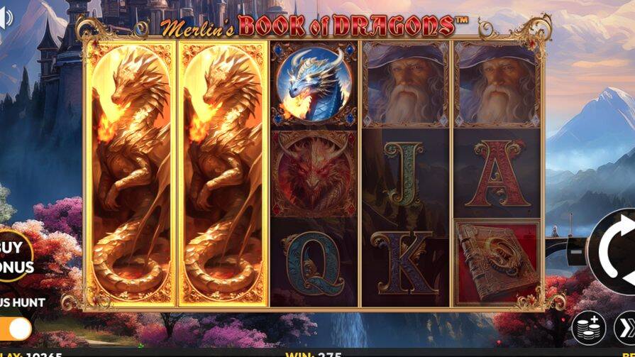 Merlins Book of Dragons
