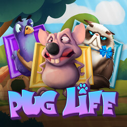 Pug Life