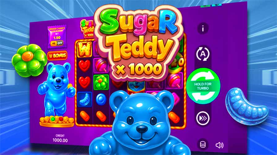 Sugar Teddy x1000