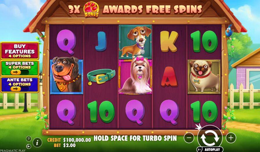 игра The Big Dog House