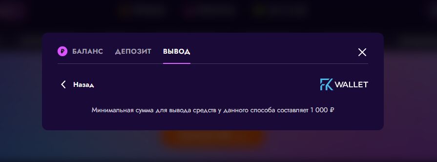 Вывод на электронный кошелек Irwin