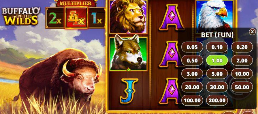 Дизайн игры Buffalo in the Wilds