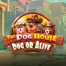 Слот The Dog House – Dog or Alive — трейлер